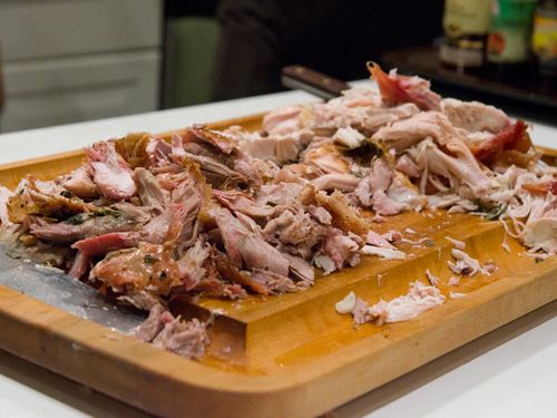 What NOT To Feed Worms In Your Compost Bin Uncle Jim s Worm Farm