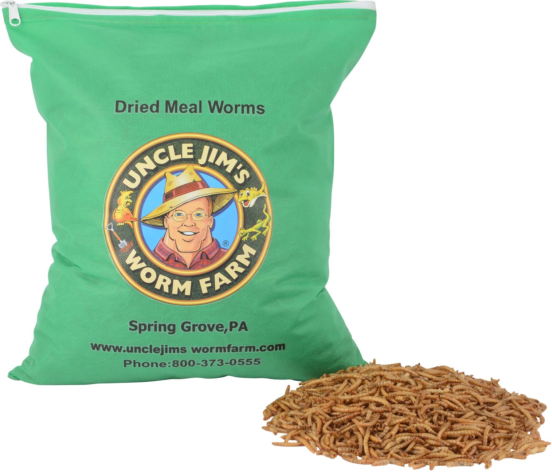 Dried mealworms