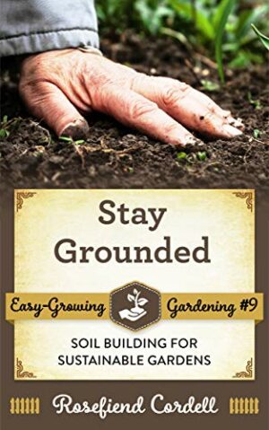stay grounded book