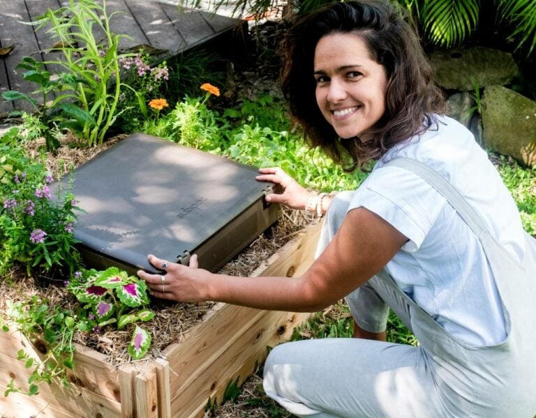 Vermiculture 101: How To Start a Worm Farm