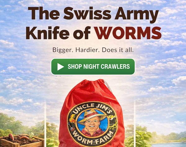 European nightcrawlers for composting soil aeration and fishing