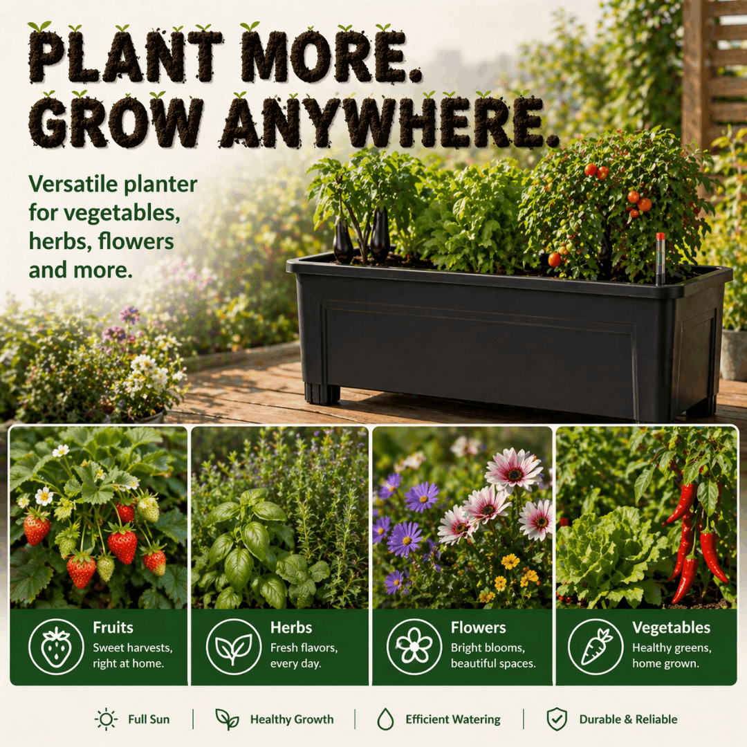 Self-watering planter growing colorful herbs, vegetables, flowers, and fruit
